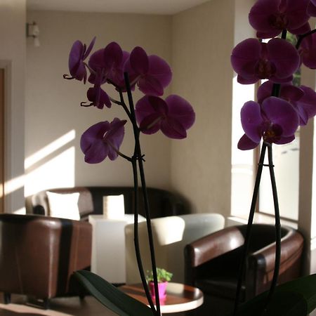 Hotel Bel Horizon Saint-Chély-dʼApcher Bagian luar foto